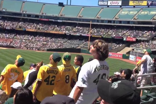 The Tweet Heard 'Round the Bay