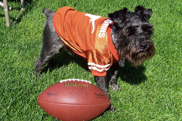 Life Lessons Learned … from Fantasy Football