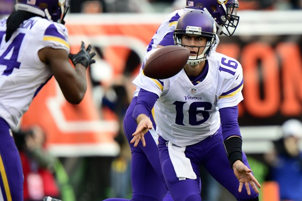 2013 Minnesota Vikings Season Review