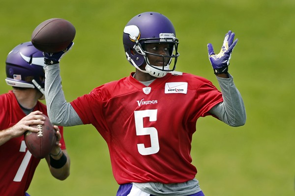 Minnesota Vikings Training Camp Preview