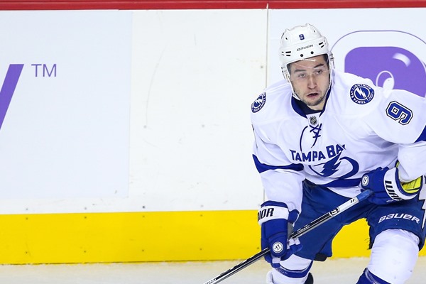 Daily Fantasy Hockey: November 8, 2014