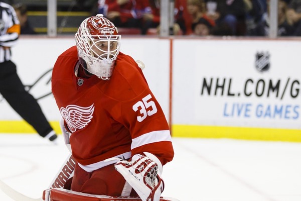 Daily Fantasy Hockey Picks: Nov 20, 2014