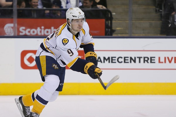 Daily Fantasy Hockey Picks: Nov 22, 2014